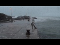Ocean Storm Sounds for Sleep or Study | Loud Thunder, Waves, Howling Wind & Heavy Rain | Stormy Sea Ocean Storm Sounds for Sleep or Study | Loud Thunder, Waves, Howling Wind & Heavy Rain | Stormy Sea