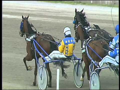 Trotto 13/03/2016 - 1° corsa