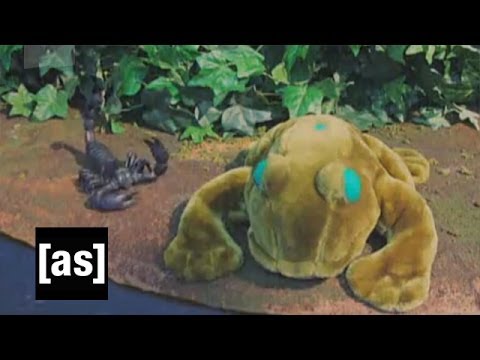 In My Nature | Robot Chicken | Adult Swim