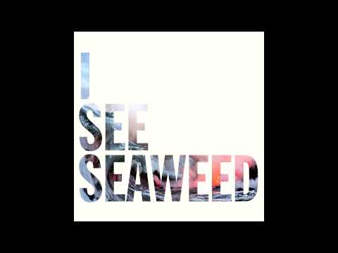 The Drones - I See Seaweed (Full Album)