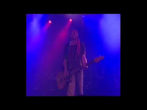 Barricada - Animal caliente (Viña Rock 2008)