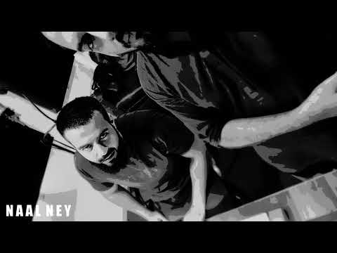 Farasat Anees, @HashimNawaz  - Naal Ney (Official Audio)