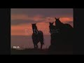 Image Bank Film All Footage Scenes