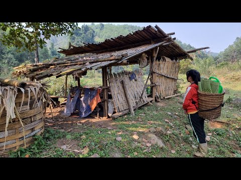 She TURNED This Broken House Into a DREAM Home     Full video | Tiểu Liễu-17 year old