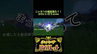 【ポケモンSV】突然の進化に悶絶？！wwwニャオハの最終進化が可愛すぎたwwwww ポケットモンスターバイオレット