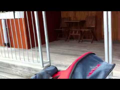 Emujin emulen salhilav