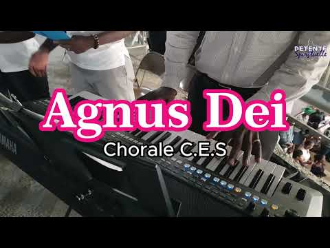Agnus Dei,