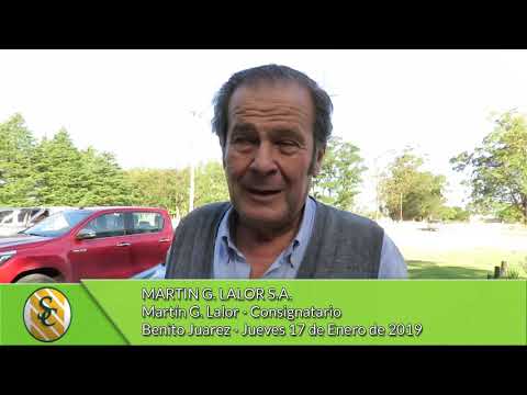 17-01-19 - Martín Lalor - Consignatario - Martin G  Lalor S.A - Benito Juarez