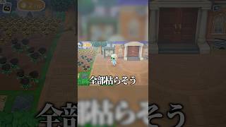 リスナーの大事な物を間違えて盗んだ結果 #そらびび #あつまれどうぶつの森 #ゲーム実況