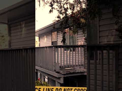 Айдахо 4: Этот клип — САМАЯ ГЛАВНАЯ улика на данный момент? #разоблачённый #разоблачённое_преступ...