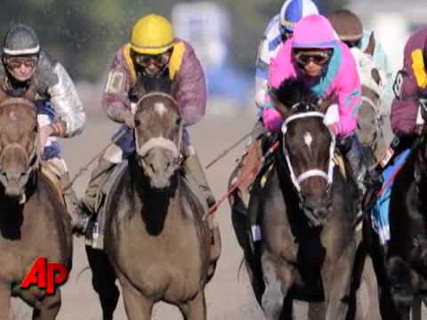 Summer Bird Wins Belmont Stakes
