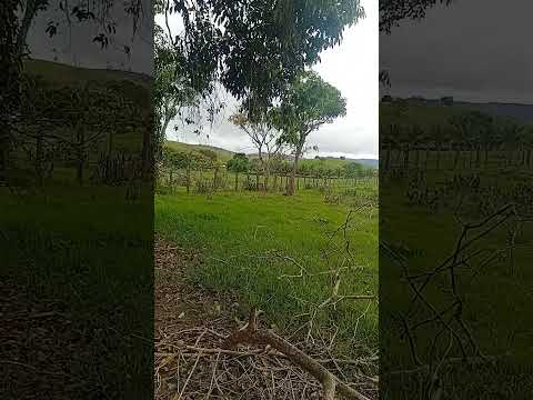 São Jose do Divino-MG,  princesa do Vale do Mucuri.