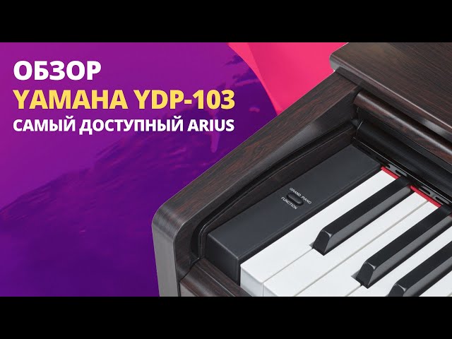 Yamaha Arius YDP-103 B - чёрный