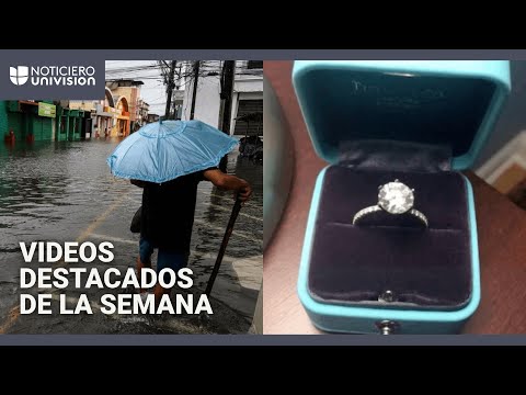 Bitcoin and other cryptocurrencies skyrocket: everyone wants to buy Bitcoin and other cryptocurrencies skyrocket: everyone wants to buy