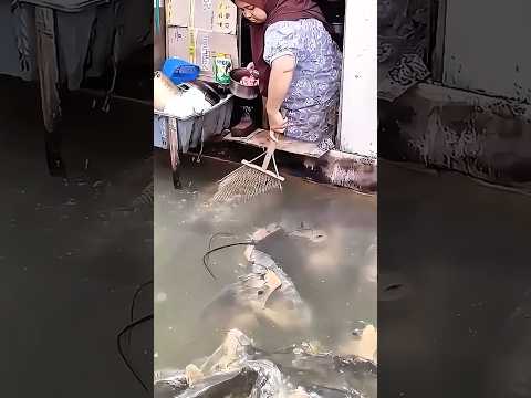 DILUAR NALAR FISHING and 3 more