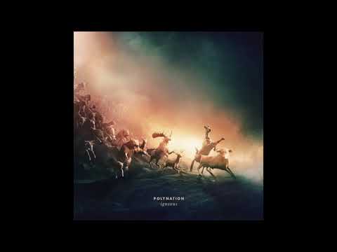 Polynation - Animus