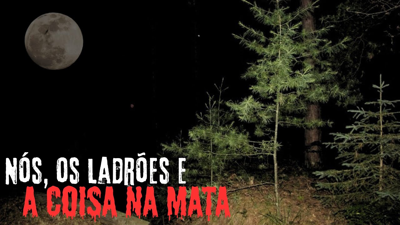 NÓS, OS LADRÕES E A COISA NA MATA.