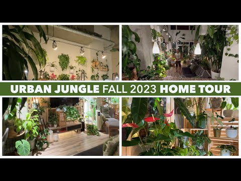 4K Urban Jungle Loft Tour: Fall 2023 Houseplant Design 🌱