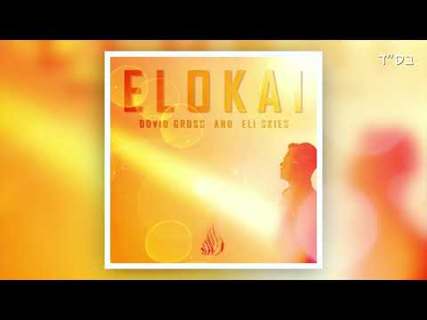 Dovid Gross & Eli Skies- Elokai