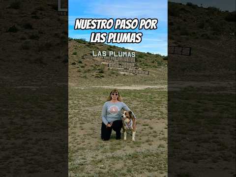 LUGAR PARA MOTORHOMES EN LAS PLUMAS, RUTA 25 Chubut #patagoniaargentina