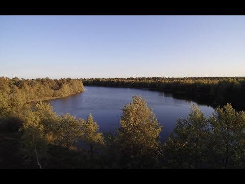 Der Silvestersee bei Schneverdingen