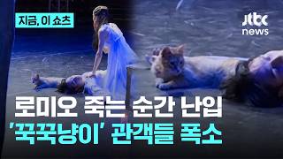 독약 먹고 쓰러진 로미오 옆, 머리카락 '꾹꾹'…신스틸러 치즈냥이｜지금 이 쇼츠