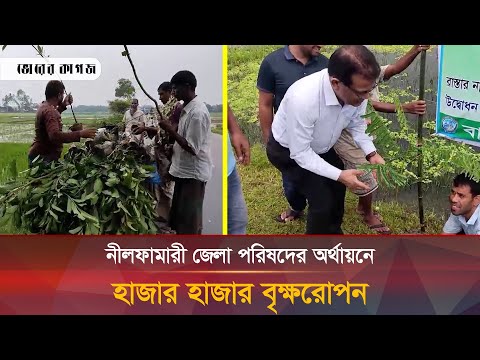 বৃক্ষরোপন কর্মসূচি