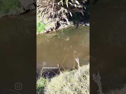 Para Relajarse 😊Parque Cabañas Tres Arroyos
