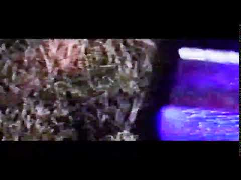 Bones Twitter Video - SESHAPP [30.08.2017]