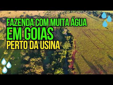 A MELHOR FAZENDA MASSAPÉ DE GOIÁS ESTÁ À VENDA RICA EM ÁGUA