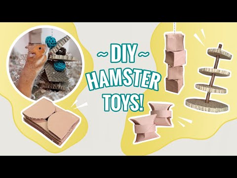 5 Easy DIY Hamster Toys