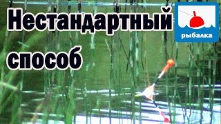 Как поймать карася летом на пруду
