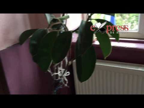 Primaria Vrani -Caras Severin