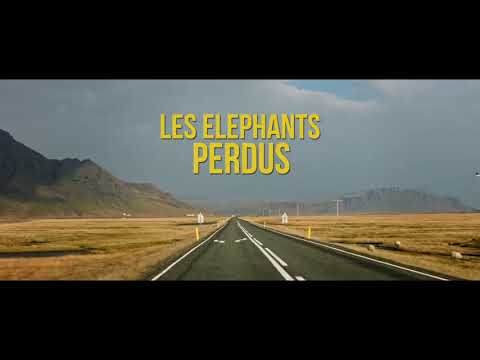 LES ELEPHANTS PERDUS - BA courte 5