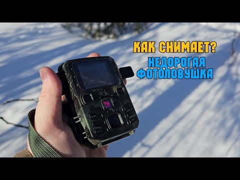 Видео с самой компактной фотоловушки MINI301