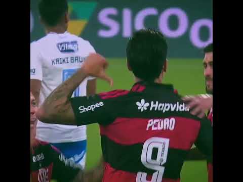 Flamengo fez 2 X 0 no Cruzeiro #flamengo #semifinal #brasileirao #saopaulo