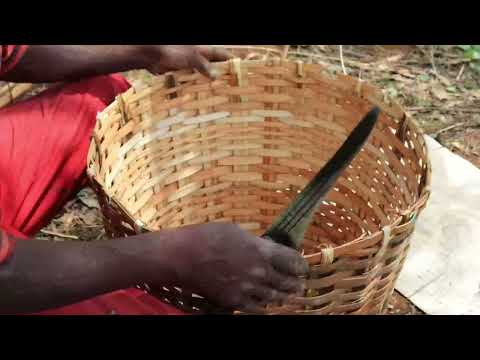 “Ancient Craft, Modern Hands: Making a Raffia Palm Basket in the Wild”