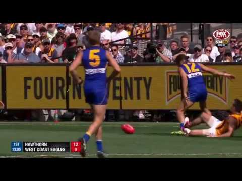 2015 AFL Grand Final Recall: Hawks v Eagles
