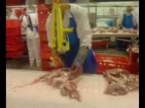 macelarii din vurpar l munk in deustchland!!!