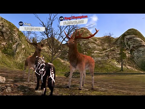 The Wolf - Stag Champion In Featured Green Hills 🏆