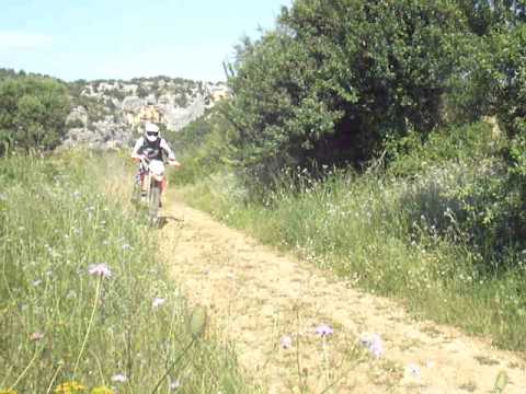 ringhio a villa bibbia