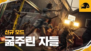 퀘이사존