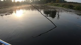Ловля щуки летом на поставушки