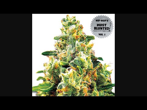 VA - Hip Hop's Most Blunted Vol. 1 (2025)