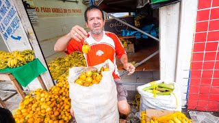 Tour of Manaus, Brazil - Biggest City in AMAZON RAINFOREST | Wild Fruit, Attractions, and Dinner!