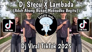 Download lagu DJ STECU X LAMBADA - DJ ADUH ABANG BUKAN MAKSUDKU BEGITU VIRAL TIKTOK TERBARU 2025 !! mp3