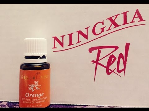 Giving Thanks Day 13 ( Daily Vlog#86 )