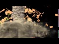 Test Tornado Fumefx 3ds Max