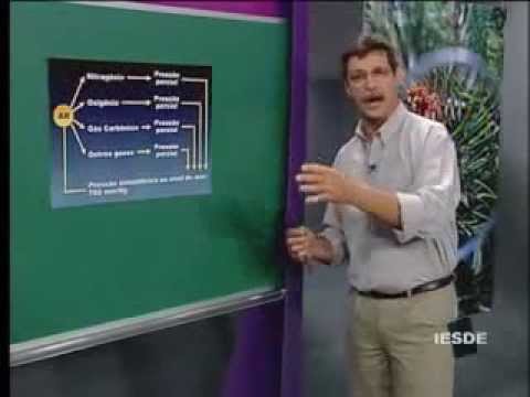 Pre Vestibular Enem Completo - BIOLOGIA - AULA 17 - SISTEMA RESPIRATÓRIO HUMANO