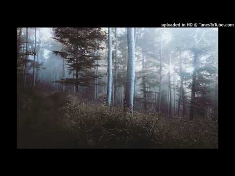 [FREE] lil peep x 9TAILS x guardin emo rap type beat - "coma" (prod hollowprpl x tiedforsilver)